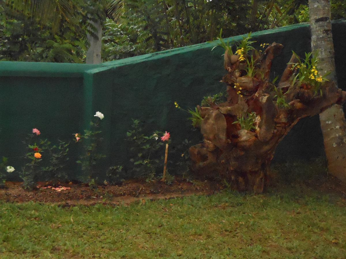 Lavender Hills Home Stay Kandy Exterior photo